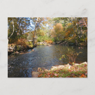 Autumn in New England 5 ~ postcard