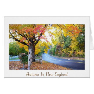 Autumn In New England Cards