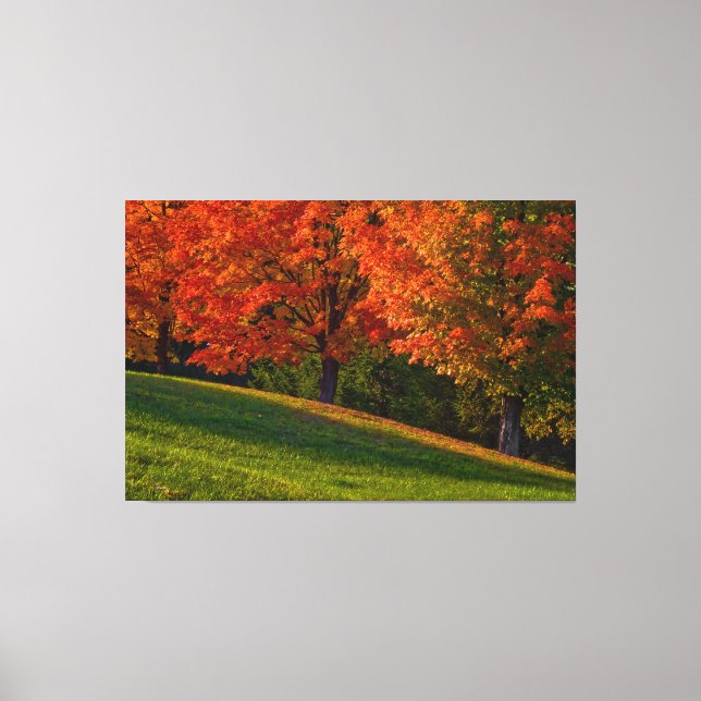 Autumn In New England Gallery Wrap Canvas Print (Front)