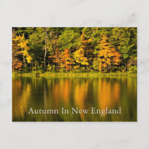 Autumn in New England Postcard