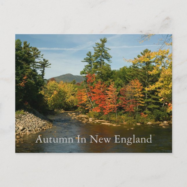 Autumn in New England   Postcard (Front)