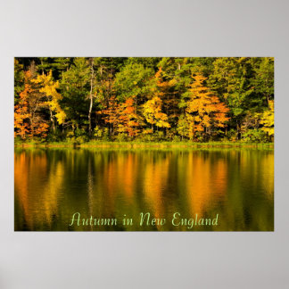 Autumn in New England Print