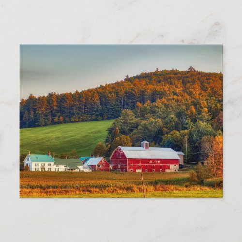 Autumn in New Hampshire Postcard