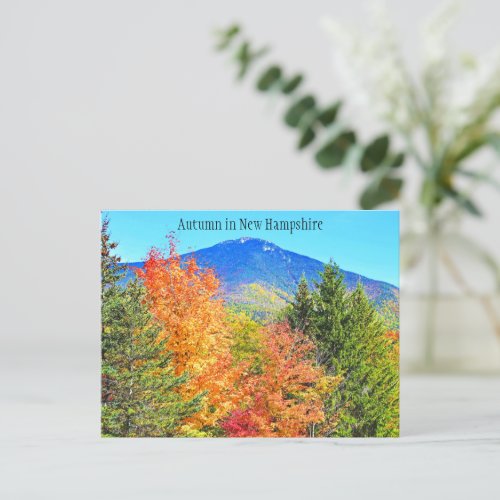Autumn in New Hampshire Postcard
