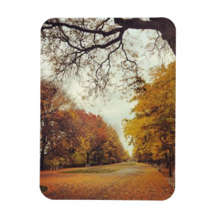 Autumn in New York City Riverside Park NYC Photo Magnet