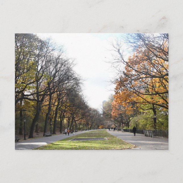 Autumn in New York City Riverside Park NYC Photo Postcard (Front)
