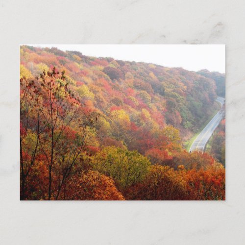 Autumn in North Carolina Postcard