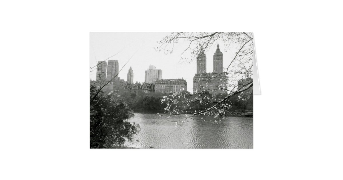 'Autumn in NY' Blank Greeting Card | Zazzle