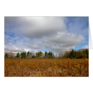 Autumn In Ohio Cards