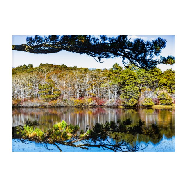 Autumn in Provincetown Acrylic Print (Front)