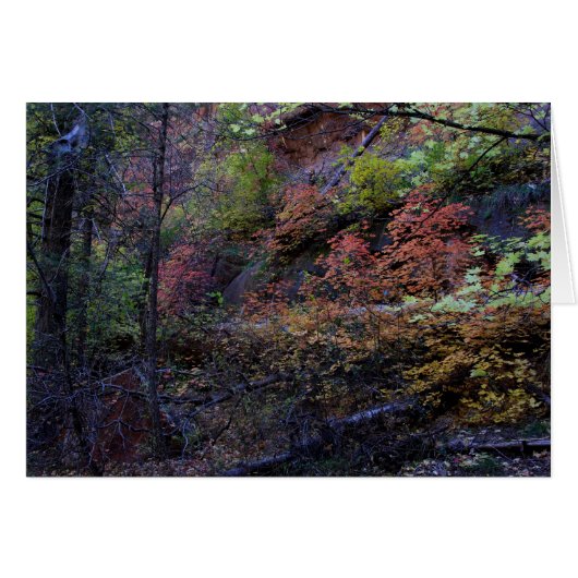 Autumn in Sedona Cards (Front Horizontal)