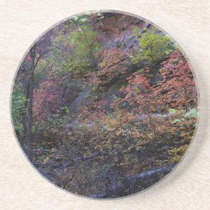 Autumn in Sedona Drink Coaster
