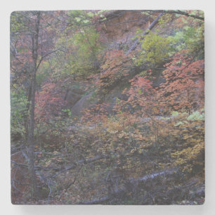 Autumn in Sedona Stone Coaster