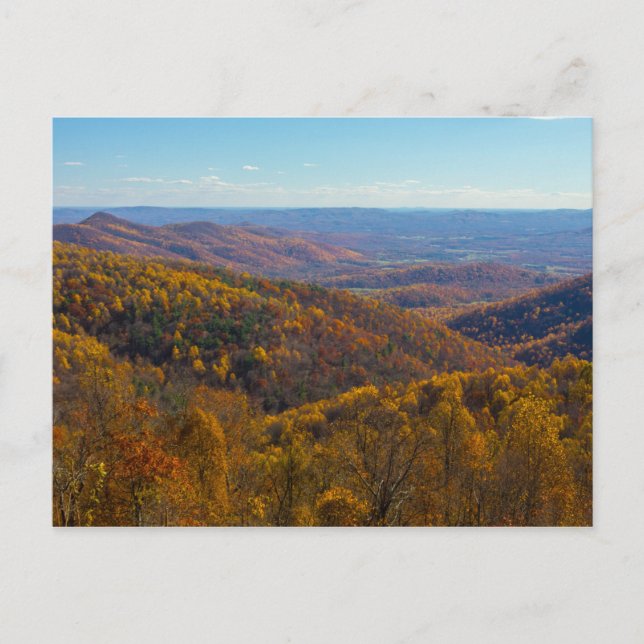 Autumn in Shenandoah National Park, Virginia Postcard (Front)