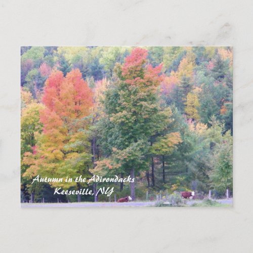 Autumn in the Adirondacks Postcard