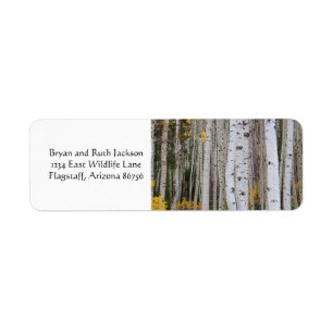 Autumn in the Aspen's Label