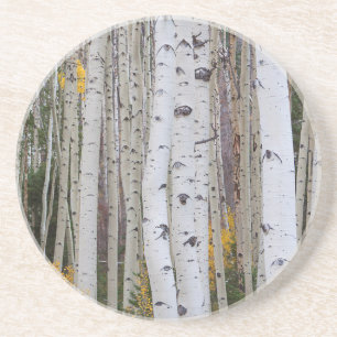 Autumn in the Aspen's Sandstone Coaster