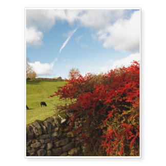 Autumn in the Country Temporary Tattoos