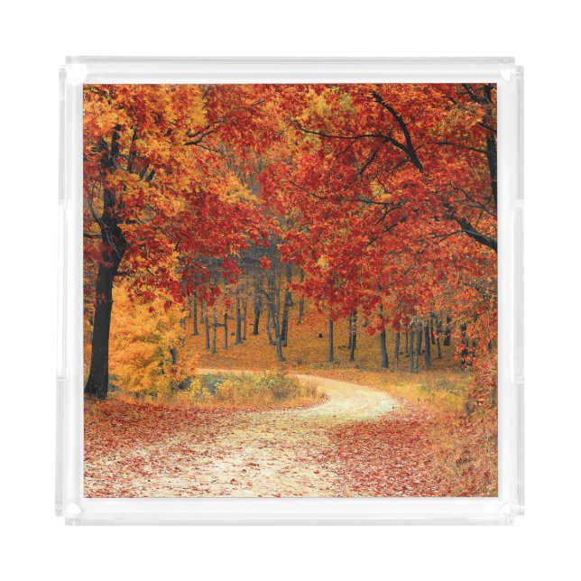 autumn in the forest acrylic tray (Front)