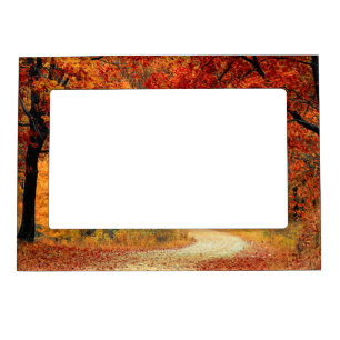 autumn in the forest magnetic frame