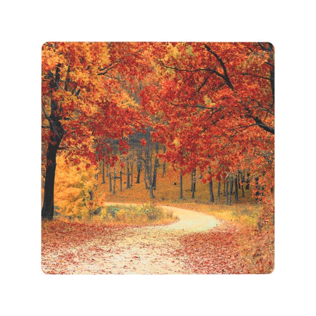 autumn in the forest metal print (Front)