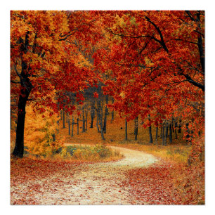 autumn in the forest poster