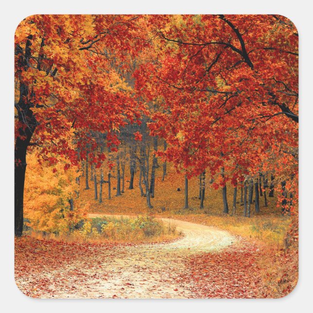 autumn in the forest square sticker (Front)