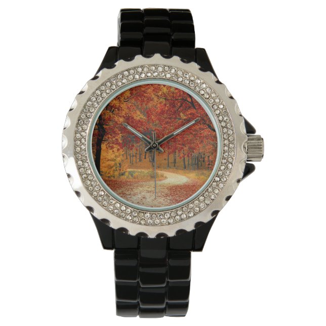 autumn in the forest watch (Front)