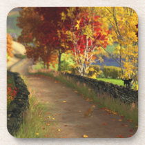 Autumn in the Glen Cork Coasters