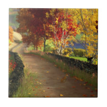 Autumn in the Glen Decorative Tile / Trivet