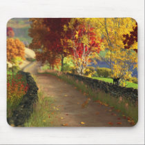 Autumn in the Glen Mousepad