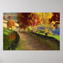 Autumn in the Glen Print