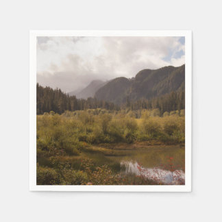 Autumn in the mountains napkins