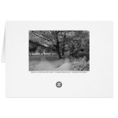 Autumn in the Park - Black and White (Back Horizontal)