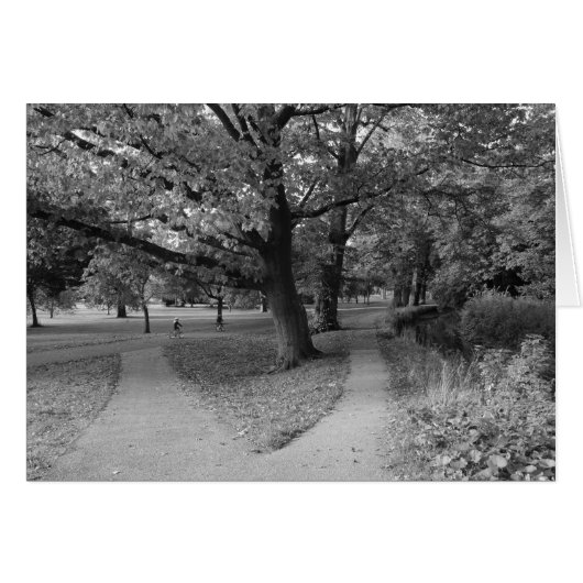 Autumn in the Park - Black and White (Front Horizontal)