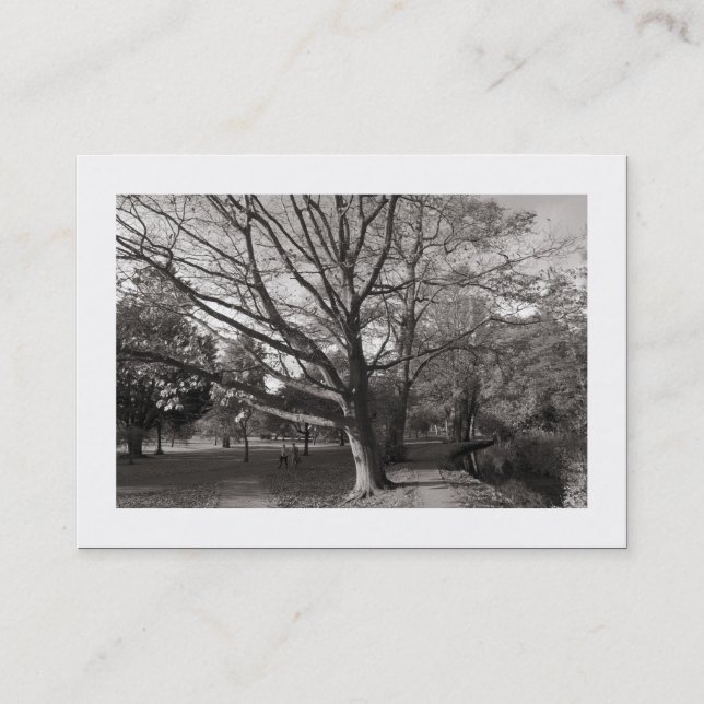 Autumn in the Park (Bordered) Business Card (Front)