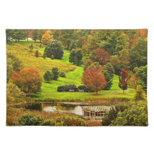 Autumn in the Park Cloth Placemat