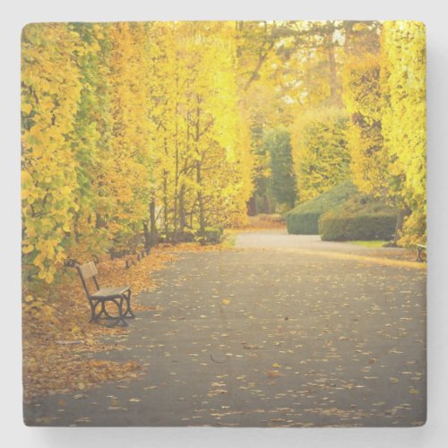 Autumn in the park in Gdansk Poland Stone Coaster