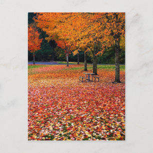 Autumn in the Park Postcard