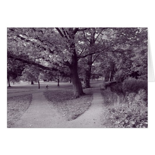 Autumn in the Park - Purple Toned BW (Front Horizontal)