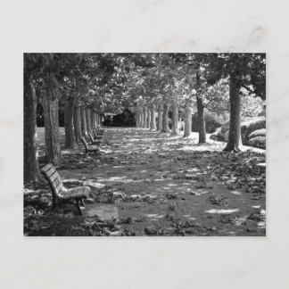 Autumn in the Park: Tokyo Postcard