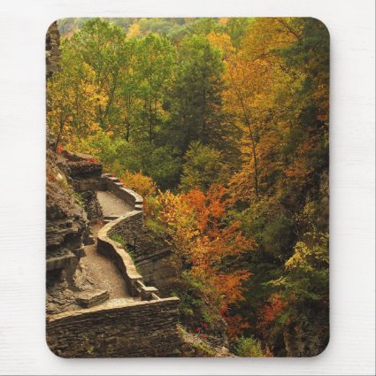 Autumn in Treman State Park Mouse Pad