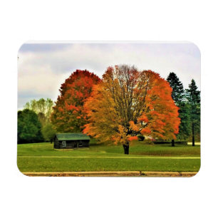 Autumn in West Bend, Wisconsin Magnet