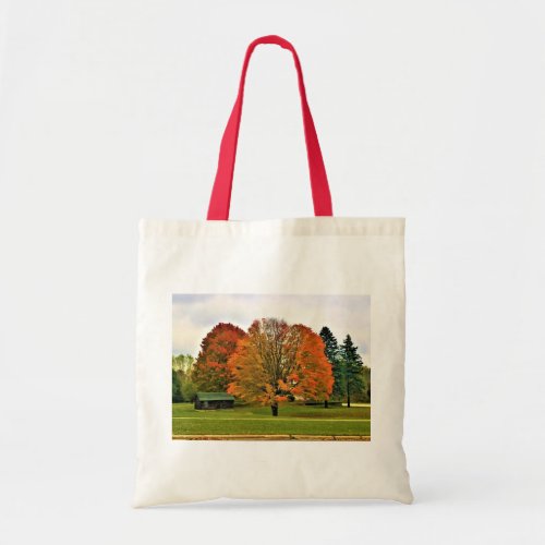 Autumn in West Bend Wisconsin Tote Bag