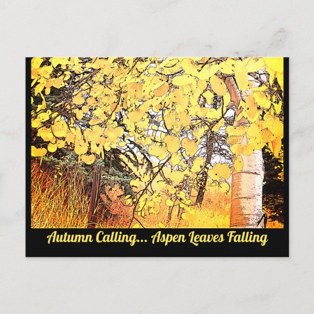Autumn is Calling... Aspen Leaves are Falling.   C Postcard (Front)