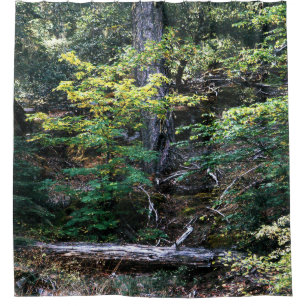 Autumn is here...... shower curtain