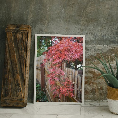 Autumn Japanese Maple Leaves and Bamboo Fence Photo Print