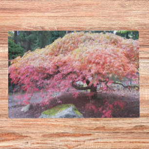 Autumn Japanese Maple Tree Photo Placemat