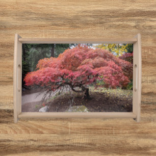 Autumn Japanese Maple Tree Serving Tray