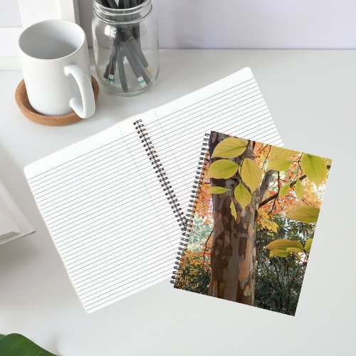 Autumn Japanese Stewartia Tree Floral Notebook